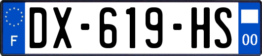 DX-619-HS