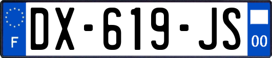 DX-619-JS