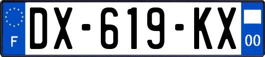 DX-619-KX