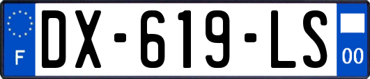 DX-619-LS