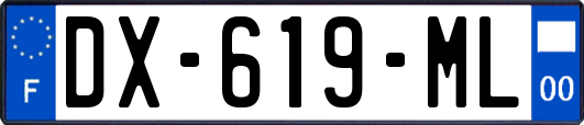 DX-619-ML