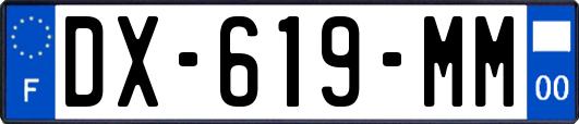 DX-619-MM
