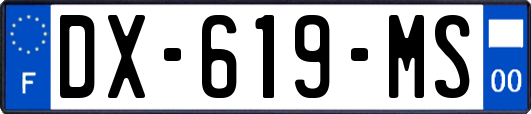 DX-619-MS