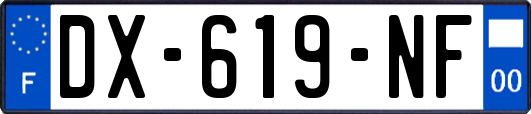 DX-619-NF