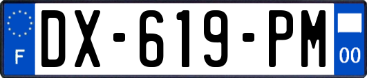 DX-619-PM