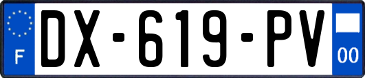 DX-619-PV