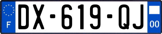 DX-619-QJ