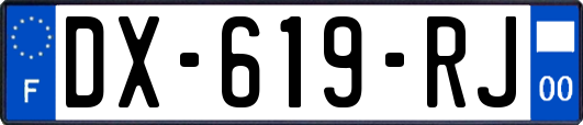 DX-619-RJ