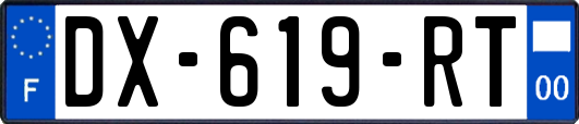 DX-619-RT