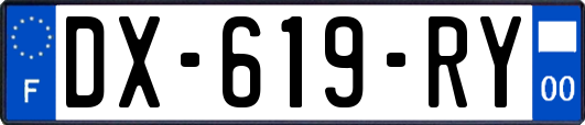 DX-619-RY