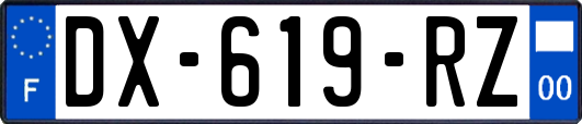 DX-619-RZ