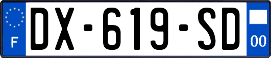DX-619-SD