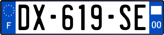 DX-619-SE