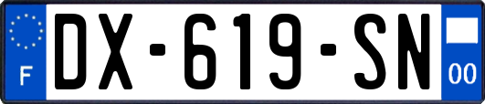 DX-619-SN
