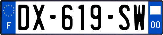 DX-619-SW