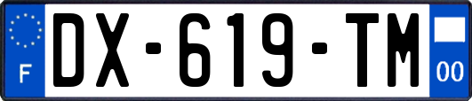 DX-619-TM