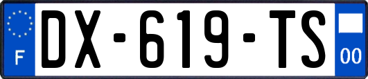 DX-619-TS