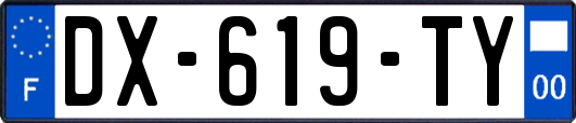 DX-619-TY