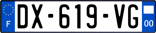 DX-619-VG