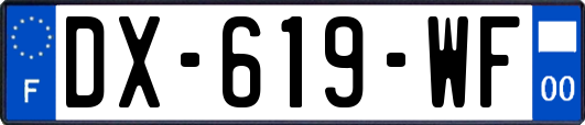 DX-619-WF