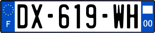 DX-619-WH