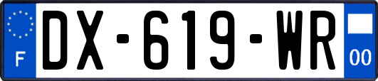 DX-619-WR