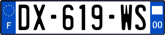 DX-619-WS