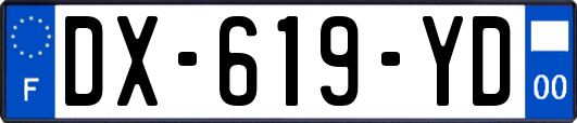 DX-619-YD