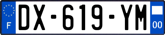 DX-619-YM