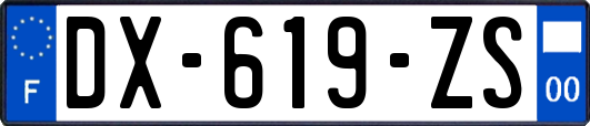 DX-619-ZS