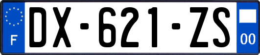 DX-621-ZS