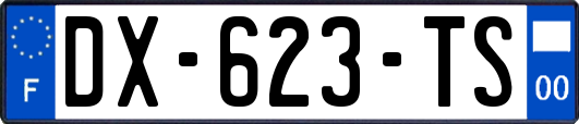 DX-623-TS