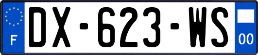 DX-623-WS