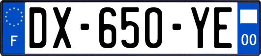 DX-650-YE