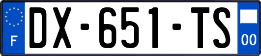DX-651-TS