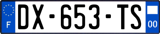 DX-653-TS