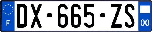 DX-665-ZS