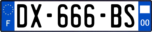 DX-666-BS