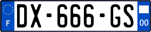 DX-666-GS