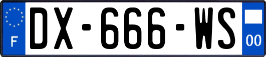 DX-666-WS
