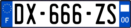 DX-666-ZS