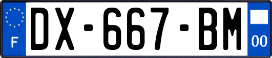 DX-667-BM