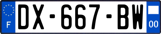 DX-667-BW