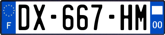 DX-667-HM