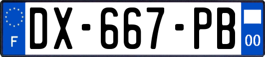 DX-667-PB