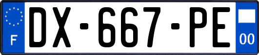DX-667-PE