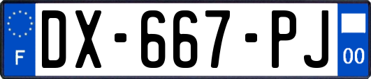 DX-667-PJ