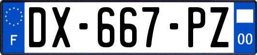DX-667-PZ