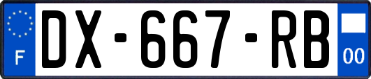 DX-667-RB