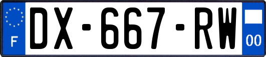DX-667-RW